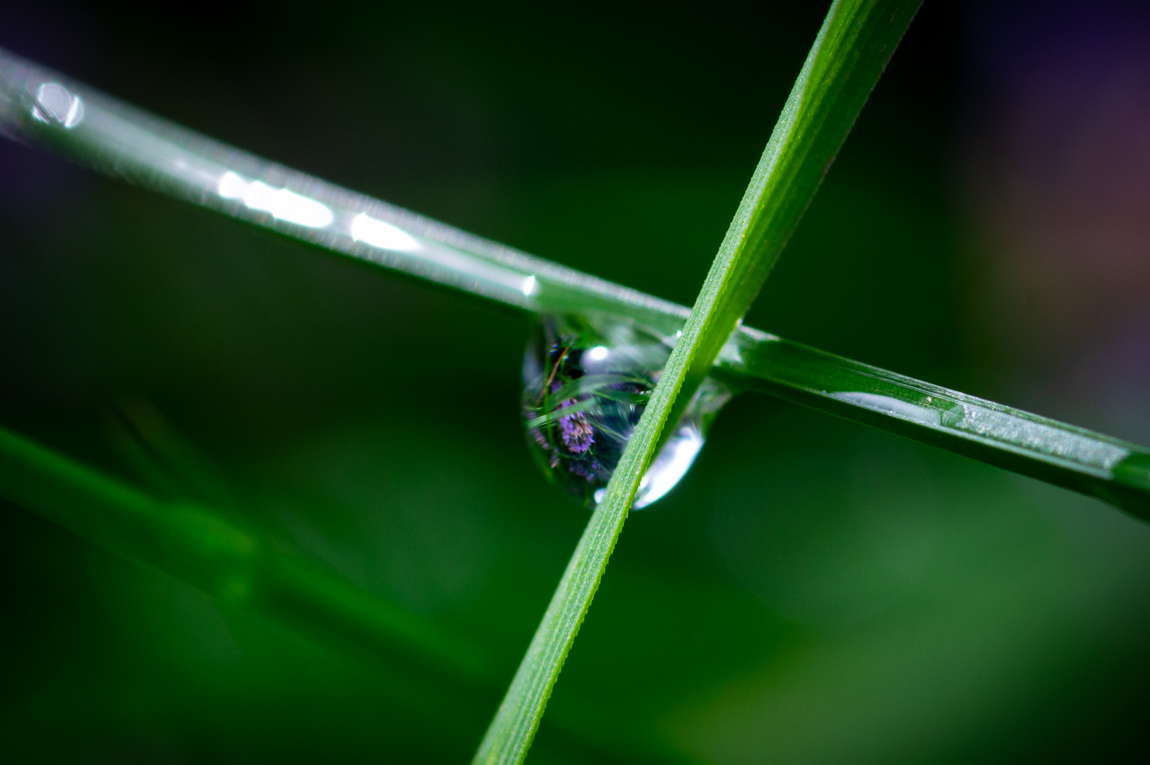 View through a droplet by Adam Lack