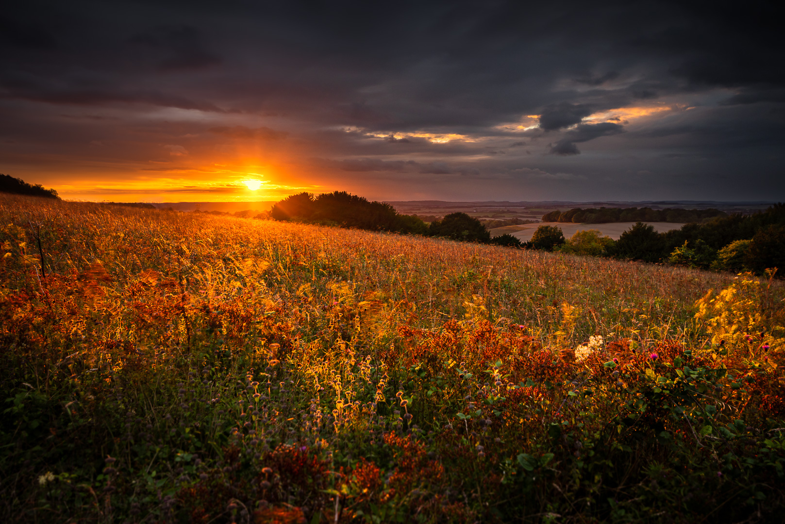 Vivid Sunset on Farley Mount by Adam Lack
