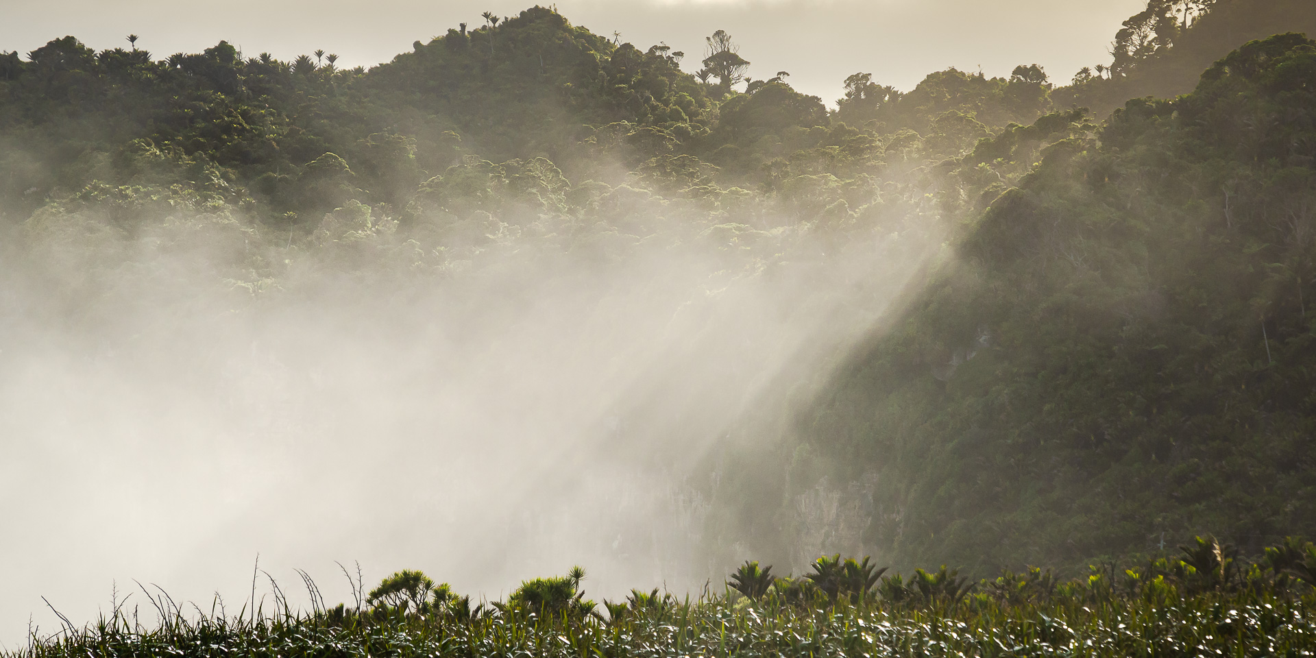West Coast Morning by Adam Lack